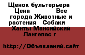 Щенок бультерьера › Цена ­ 35 000 - Все города Животные и растения » Собаки   . Ханты-Мансийский,Лангепас г.